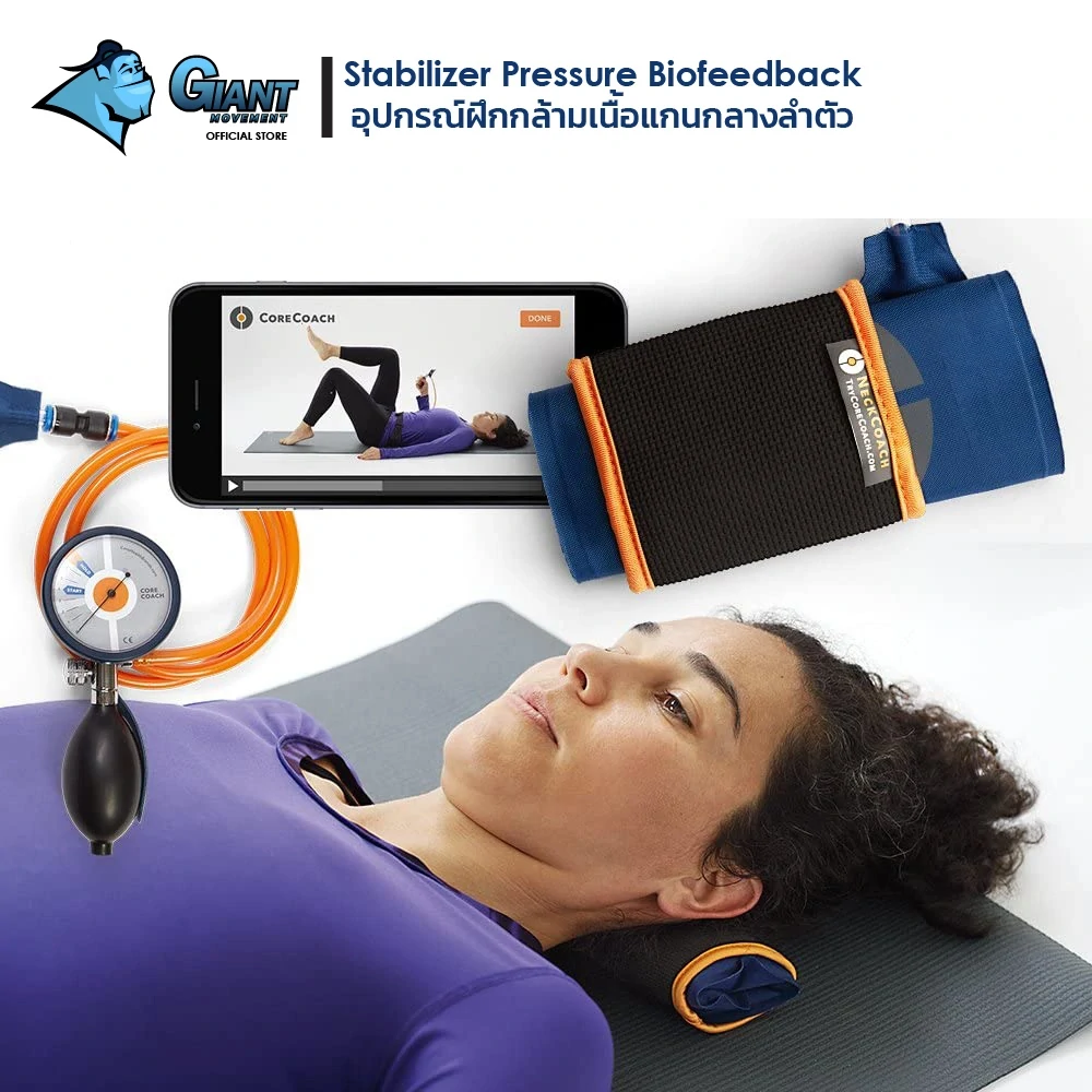 Stabilizer-Pressure-Biofeedback-อุปกรณ์สำหรับฝึกกล้ามเนื้อ