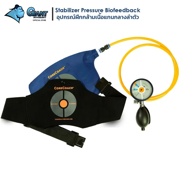 Stabilizer-Pressure-Biofeedback-อุปกรณ์สำหรับฝึกกล้ามเนื้อแกนกลางลำตัว
